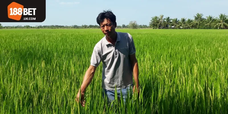 Chơi Lô Đề Lộc Phát - Chú Thắng Đầu Bò Ăn Đậm 300 Triệu Nhờ Vào Kinh Nghiệm 15 Năm Cược Tại 188BET 1 chu-thang-dau-bo-tung-tung-hoanh-soi-lo-truyen-thong-truoc-khi-chinh-chien-15-nam-tren-dau-truong-lo-de-online-1