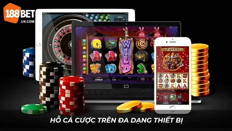 Hỗ cá cược trên đa dạng thiết bị