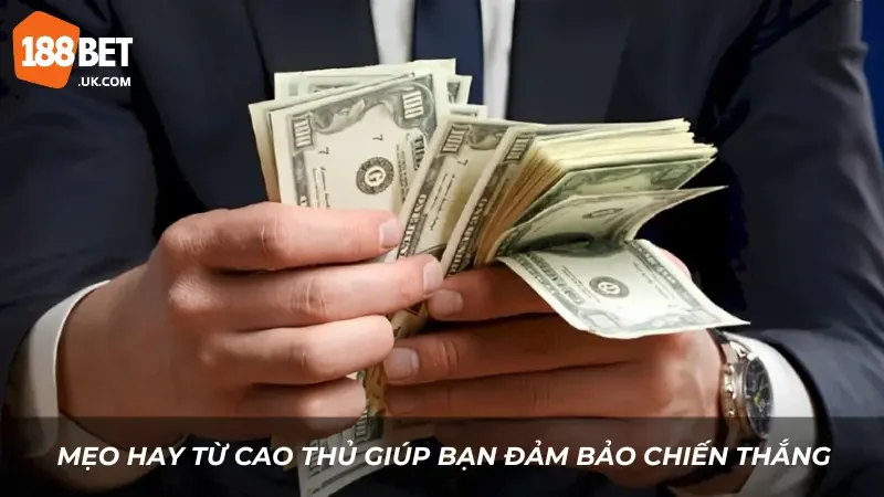 Chia Sẻ Cược Gà Chiến 188BET - Kinh Nghiệm Hay Để Thắng Lớn 2 Mẹo hay từ cao thủ giúp bạn đảm bảo chiến thắng